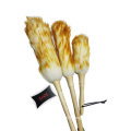 Long wooden handle dust removal wool brush